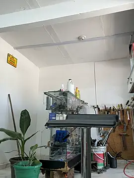 Paul22cm- Live XXX-chat