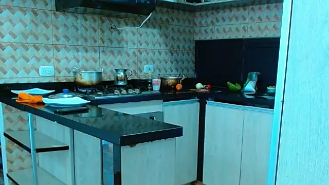 Show webcam de big--boss