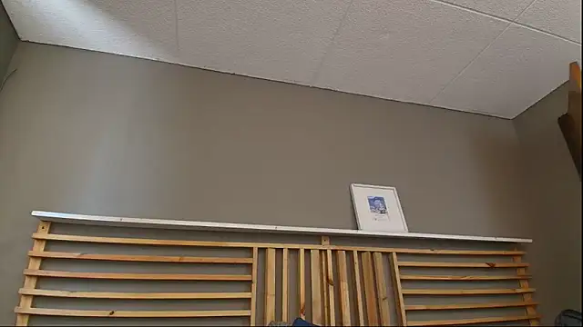 PaulEvensn Webbikameraesitys