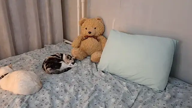 MiaTemptress Adlı Modelin Canlı XXX Sohbeti