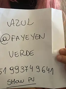 Show Webcam de afayecd