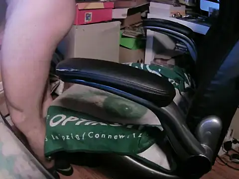 Show de Tigerhill2023 na webcam