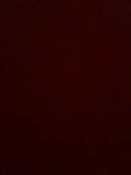 tubuoitolam Show Webcam