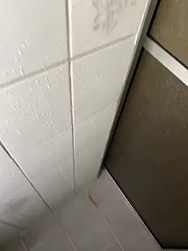 bielz900n Webbikameraesitys