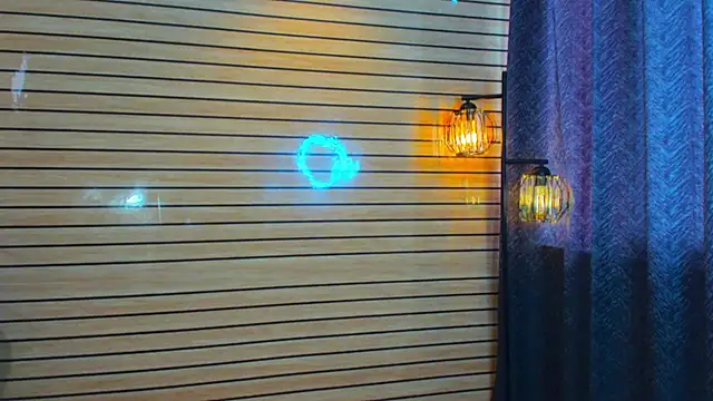 โชว์เว็บแคมของ TheBatMansion