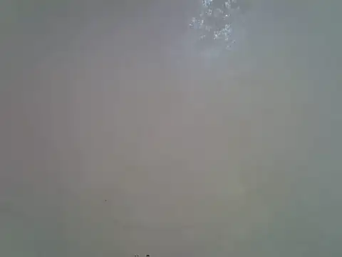 Chat +18 de Rasta_tattooed ao vivo