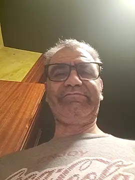 Show webcam de delfi6