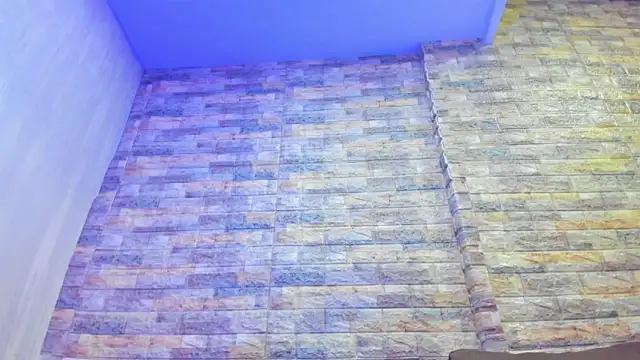 Pokazy przed kamerką – brad_Browns