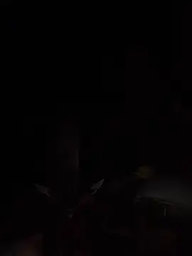 JesuAdam 라이브 XXX 채팅