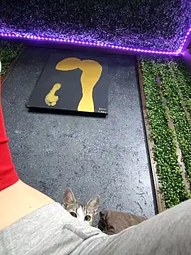 pleasure_of_life Webcam show