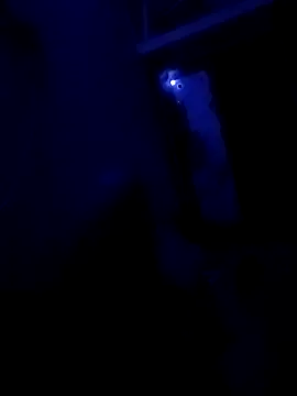 starnighcouple Live XXX-Chat