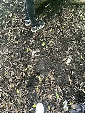 Andres_boy252 – webcam-show