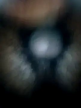 Chat +18 de pussyin_monstercock143 ao vivo