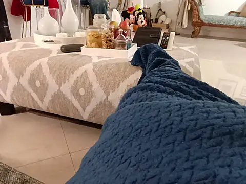 Show webcam de Electriboy90