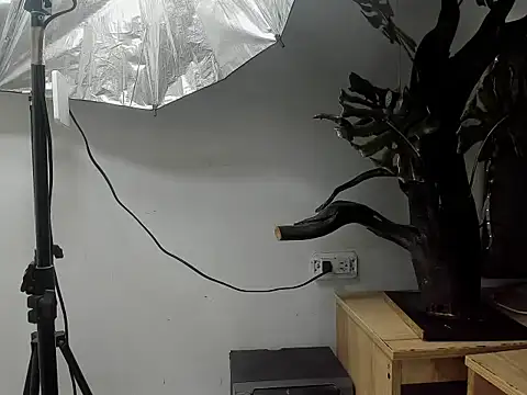 Edy_coltt webcam show