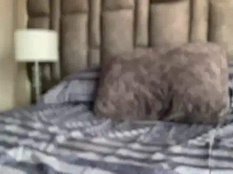 alexandergrey760886 webcam show