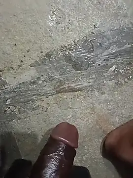 Punebigcock49 Pertunjukan Webcam