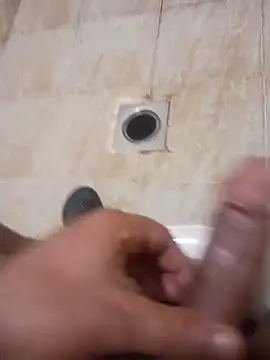 عرض كام Stallionbull37