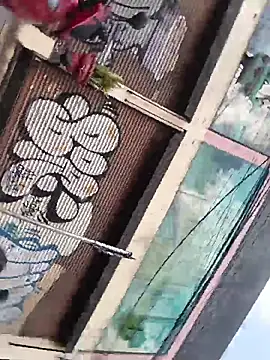 Pokazy przed kamerką – UrsoBissexualPauGrosso