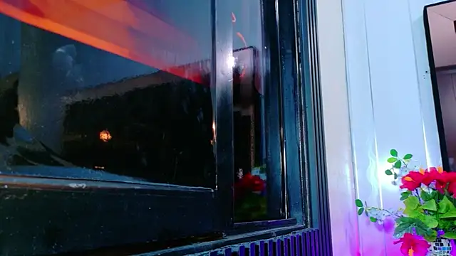 عرض كام AlecciaNova