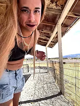 Chat XXX ao vivo de TranSexualJade95