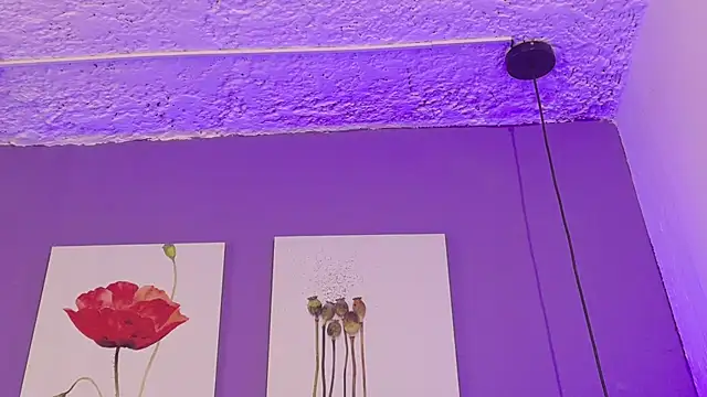 Karim_mansur Pertunjukan Webcam