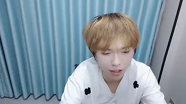 Show de w5206t na webcam