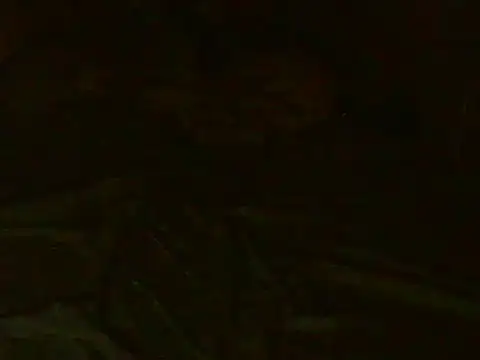 bielzinsantostx's Webcam Show