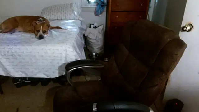 DADDY_KANE8--- webkamerás műsora