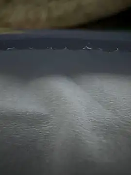 HHHHHxxn Adlı Modelin Canlı XXX Sohbeti