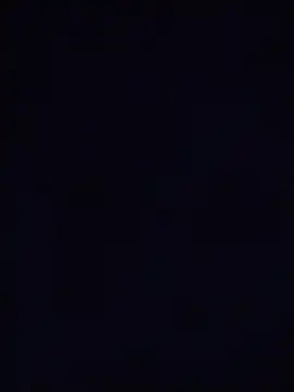 SalientClean 现场XXX聊天