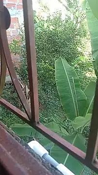 Victor17_30 Pertunjukan Webcam