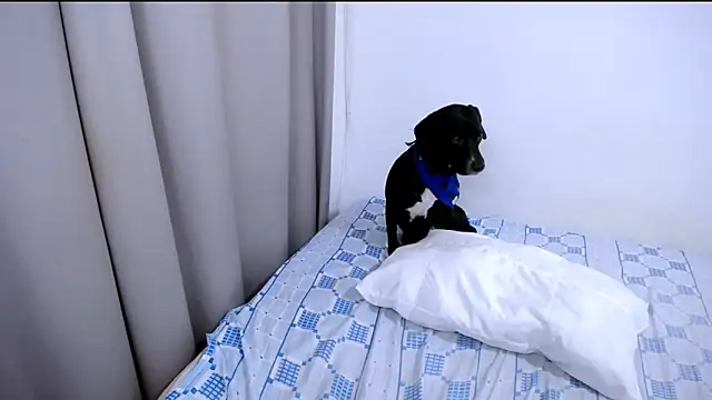 Hanny_9 Live XXX-Chat