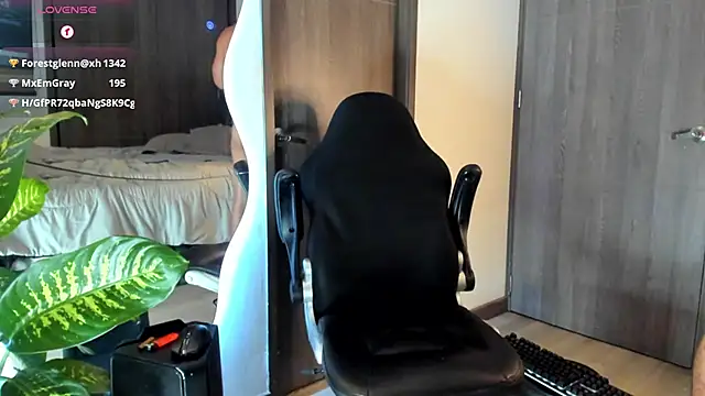 Dimitri_Bass 网络视讯表演