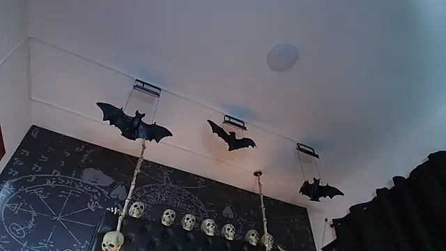 Онлайн чат XXX AlexHoe_