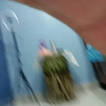 Živý XXX chat sanayabose7