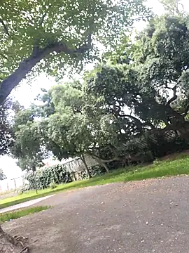 415cali925 ওয়েবক্যাম শো