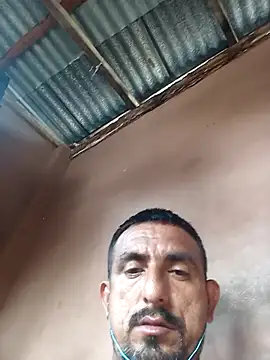 Živý XXX chat Longthick26cm