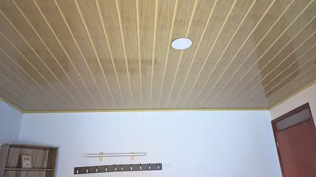 Renaxi_Smith's Live XXX Chat