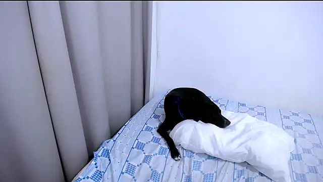 Hanny_9 即時 XXX 聊天