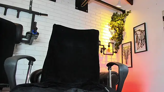 B_Wild: вебкам-шоу