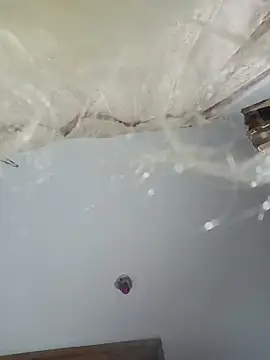 xblackstarX1 – Live XXX-chat