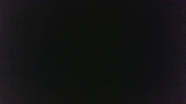 MuseChic_Wild 即時 XXX 聊天