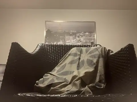 Tyyson03n Webbikameraesitys