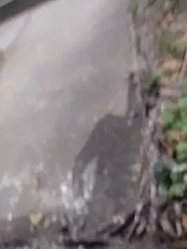 xxxbananaboy Webcam show