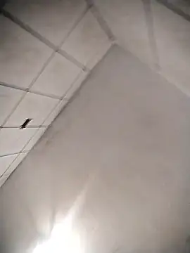 Webkamerová show mille20