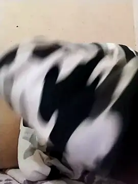 Webkamerová show Zi90m