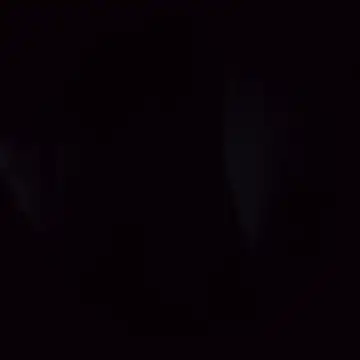 Best_Behaviorのウェブカメラショー