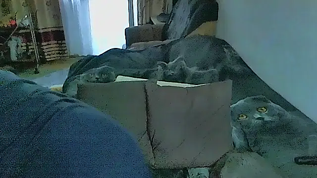 sex2のライブXXXチャット