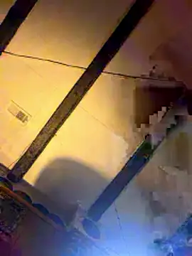 Show webcam de luke42092